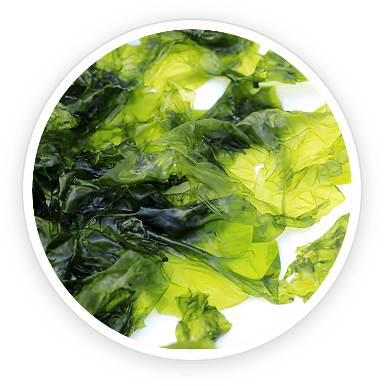 Nori Yaki Extract Powder — ingredient in Prostadine